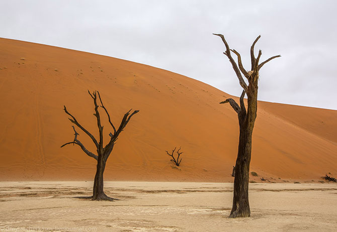 Путешествие к Мертвому болоту Намибии