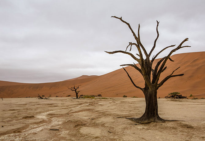 Путешествие к Мертвому болоту Намибии