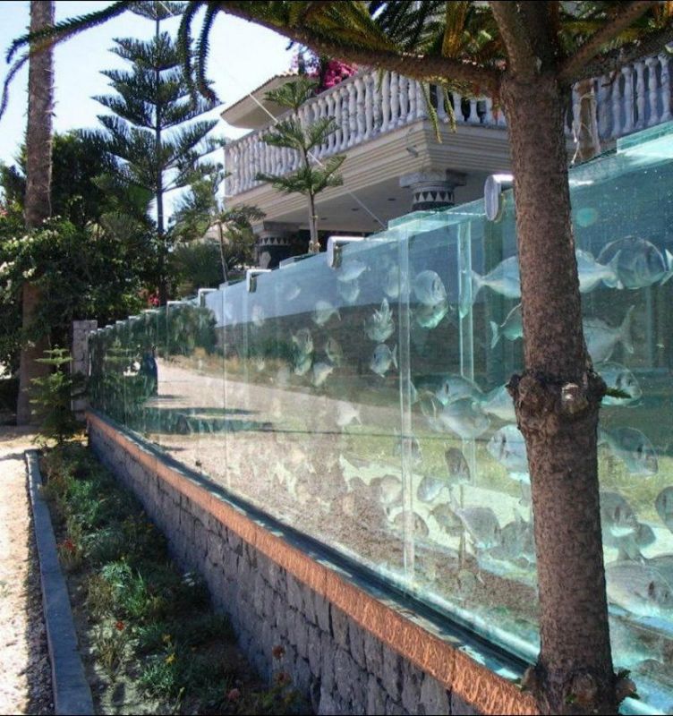 Необычный забор в виде аквариума