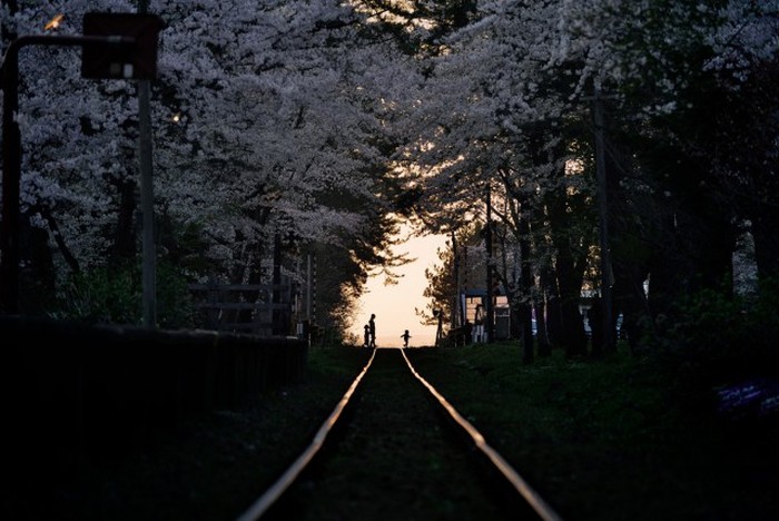 Снимки фотоконкурса National Geographic Photo Contest 2015