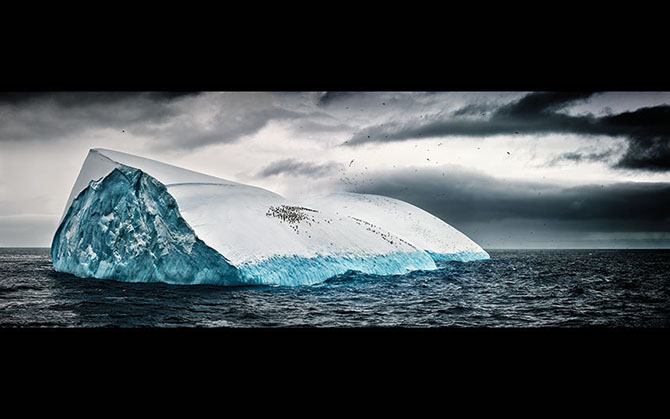 Красоты Антарктиды от фотографа Алекса Бернаскони