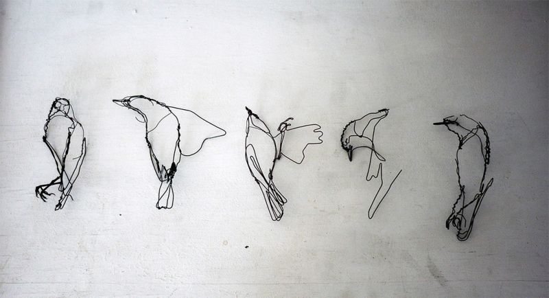 Проволочные рисунки животных от Дэвида Оливейры