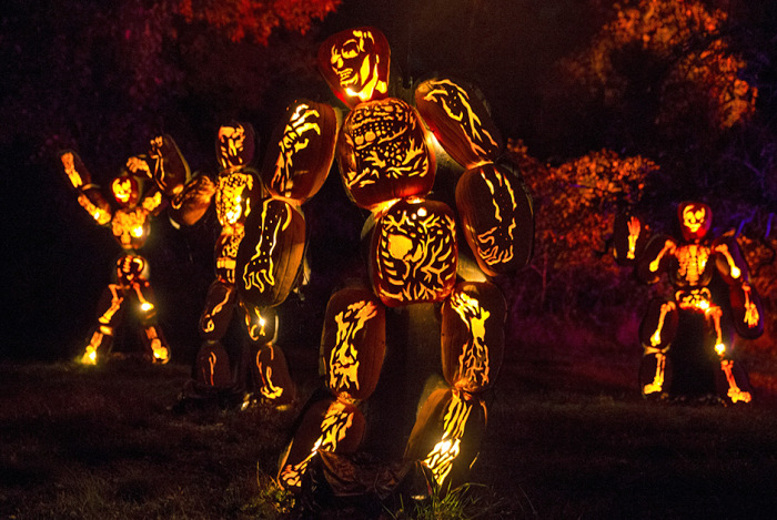 Тысячи тыкв-светильников на выставке Great Jack O' Lantern Blaze