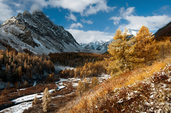 12 волшебных пейзажей осени на Алтае 