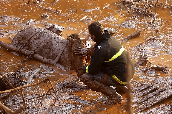 Токсичная грязь в Бразилии