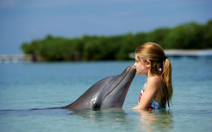 7 интересных фактов о дельфинах