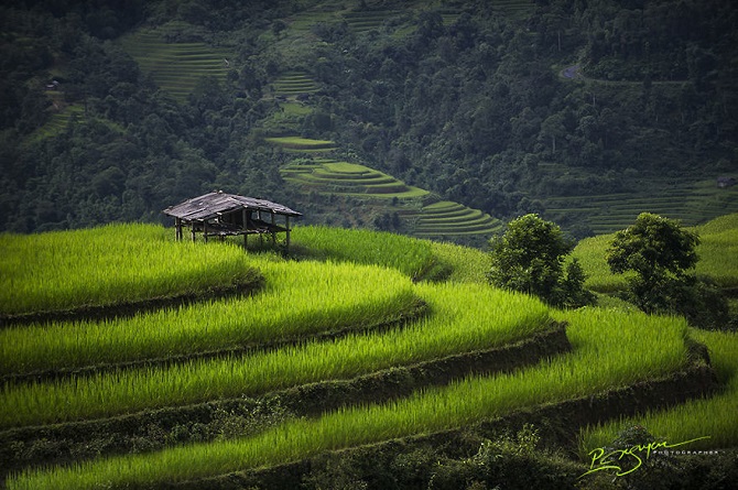 Волнующая красота Вьетнама на фотографиях Нгуена Ву Фуока