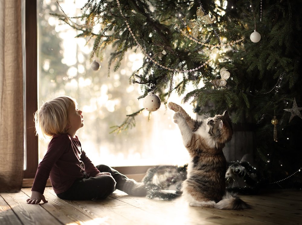 Зимние снимки о счастливом детстве в деревне от Елены Шумиловой