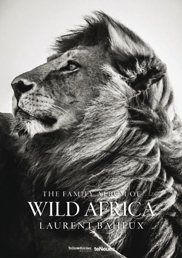 Яркие портреты обитателей дикой природы Африки