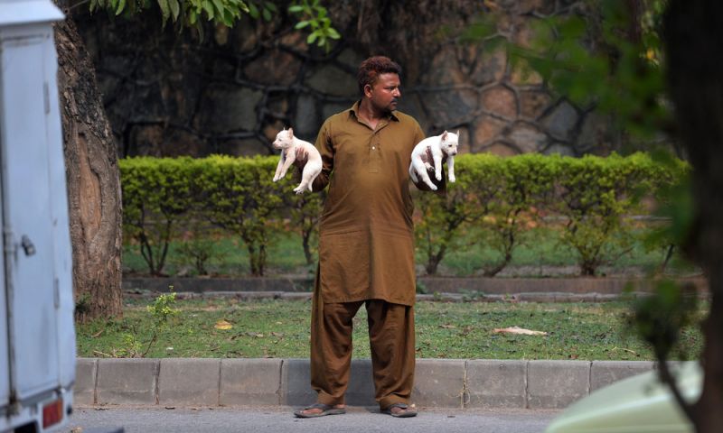 Повседневная жизнь в Пакистане