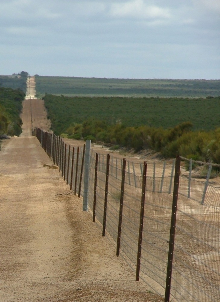 Что находится за стеной в австралии
