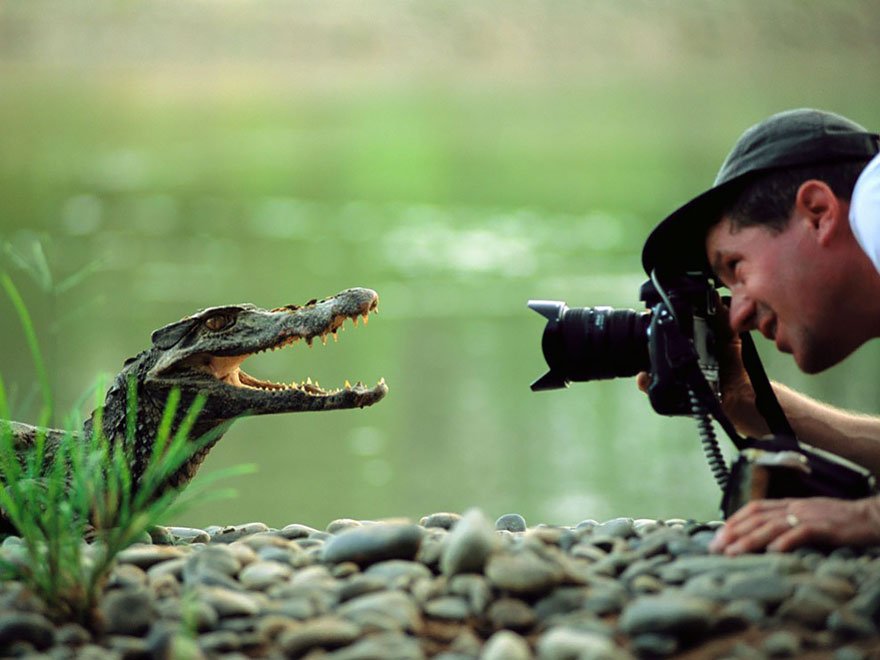 Фотографы дикой природы за работой