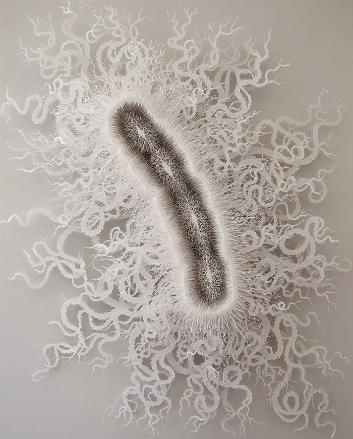 Микробиология из бумаги от Рогана Брауна