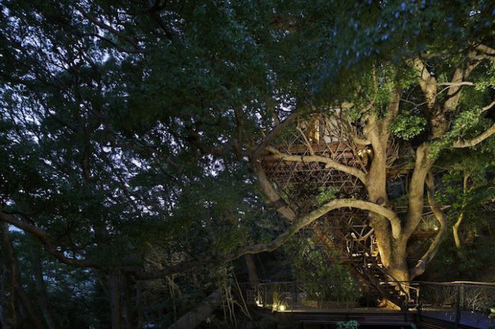 Самый большой домик на дереве в Японии