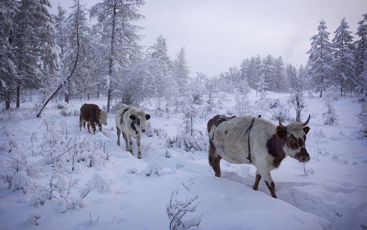 Поселок Оймякон на востоке Якутии, где живет зима
