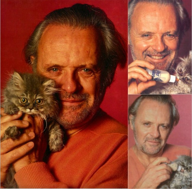 Знаменитые мужчины со своими котиками