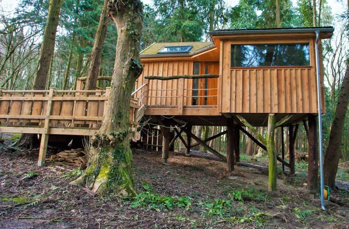 Деревянный дом-скворечник посреди леса в Англии