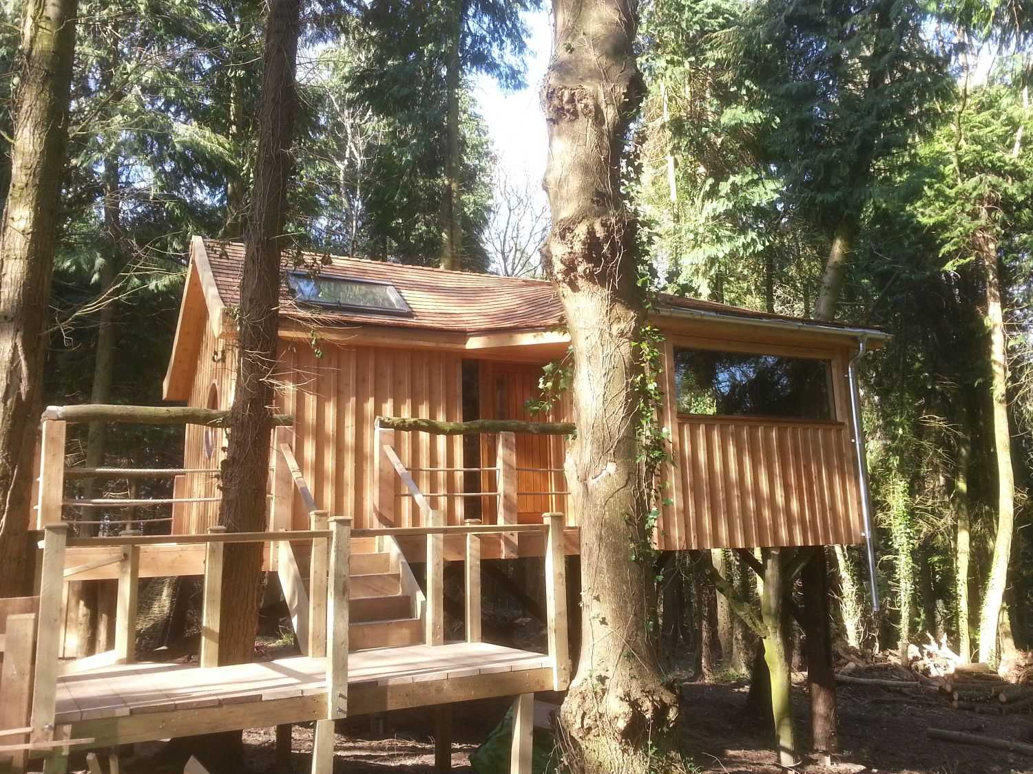 Деревянный дом-скворечник посреди леса в Англии