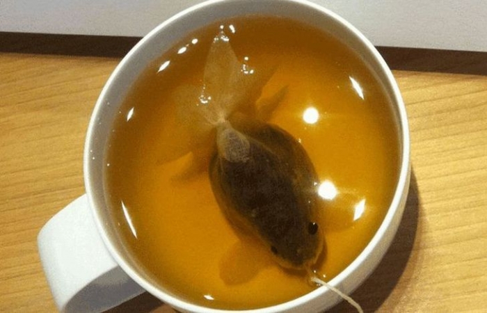 Креативные чайные пакетики - золотые рыбки