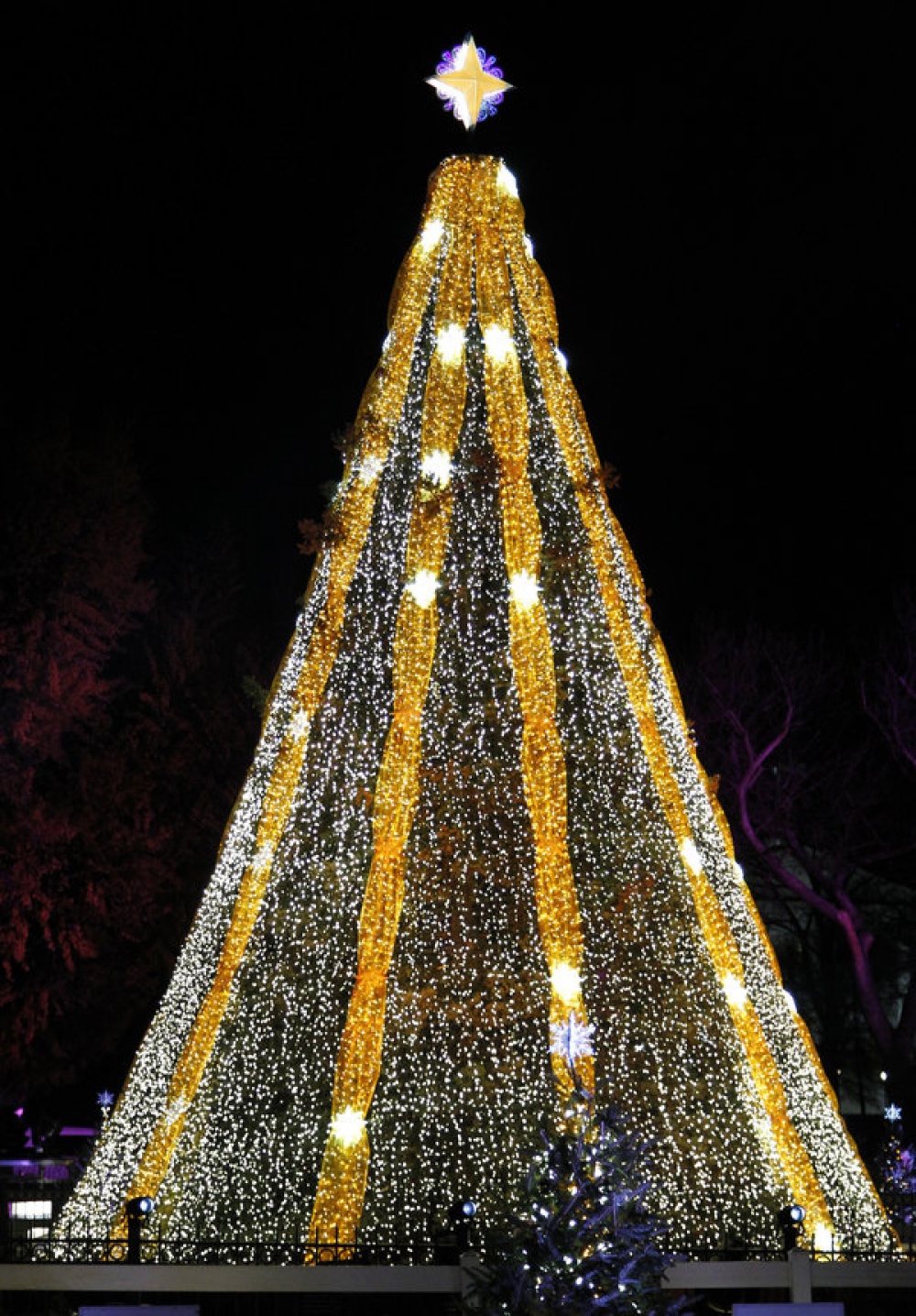 11 самых зрелищных новогодних елок мира