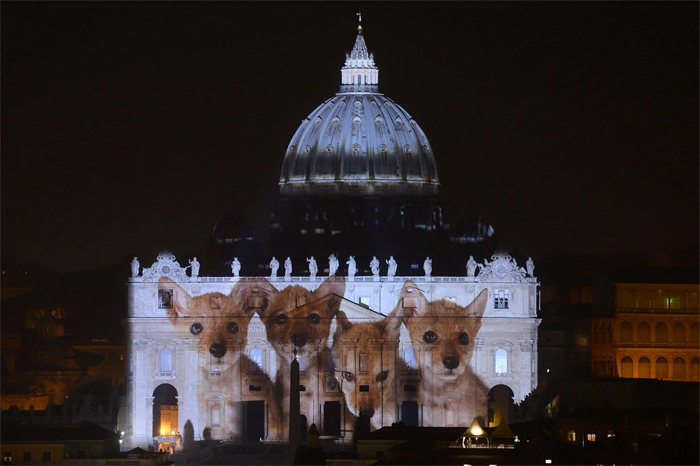 Ватикан выступил в поддержку вымирающих видов животных
