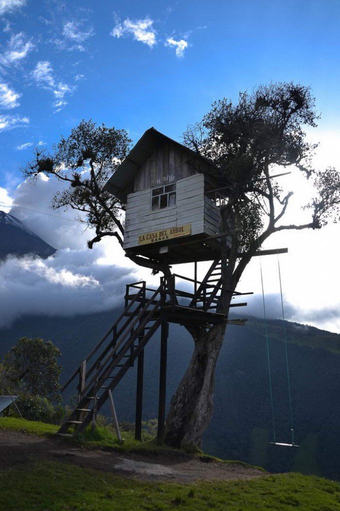 Самые необычные и удивительные дома на деревьях