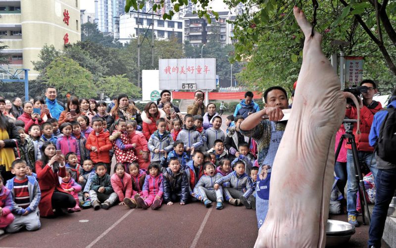 Китайским первоклассникам показали, как правильно разделывать свинью