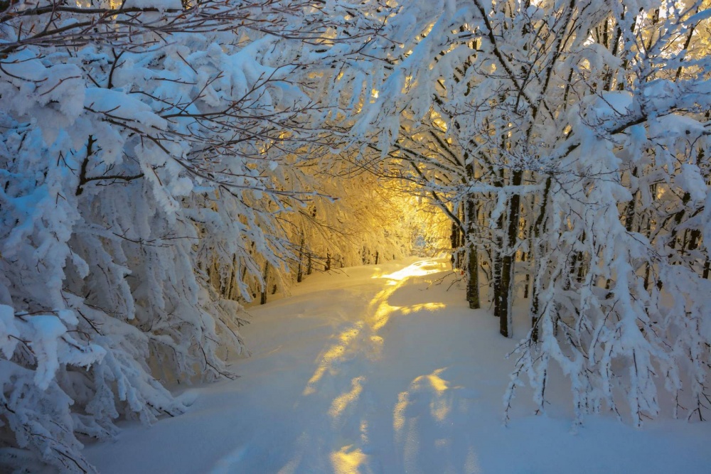 Красота мест, где зима сказочно прекрасна