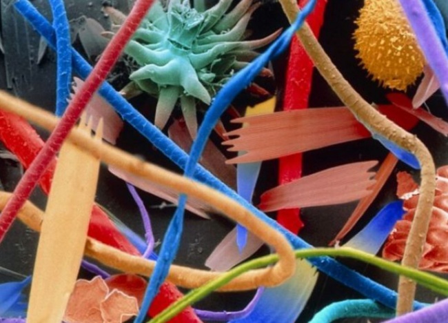 25 привычных вещей под микроскопом