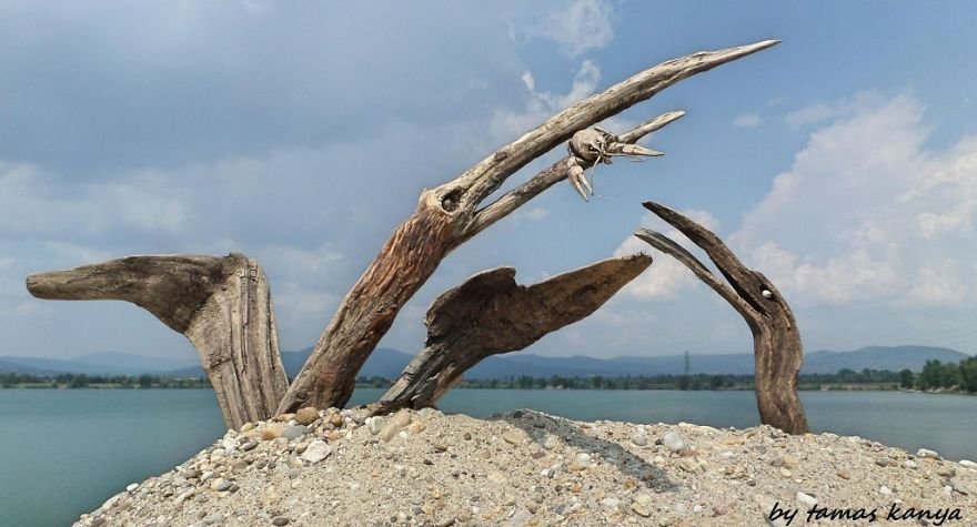 Деревянные скульптуры из того, что прибило к берегу