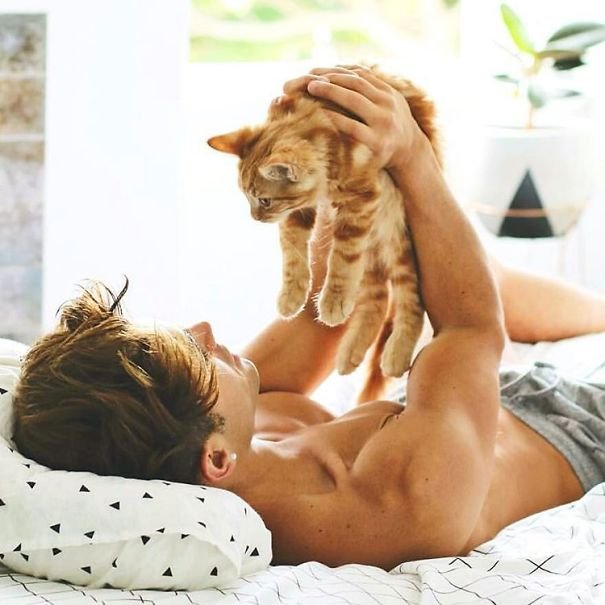 Симпатичные парни с котятами - две женские слабости в одном