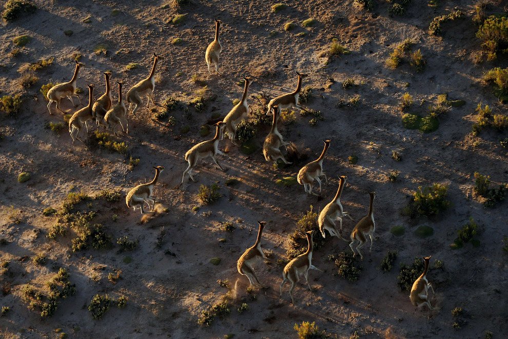 Гонка в пустыне - Ралли Дакар 2016