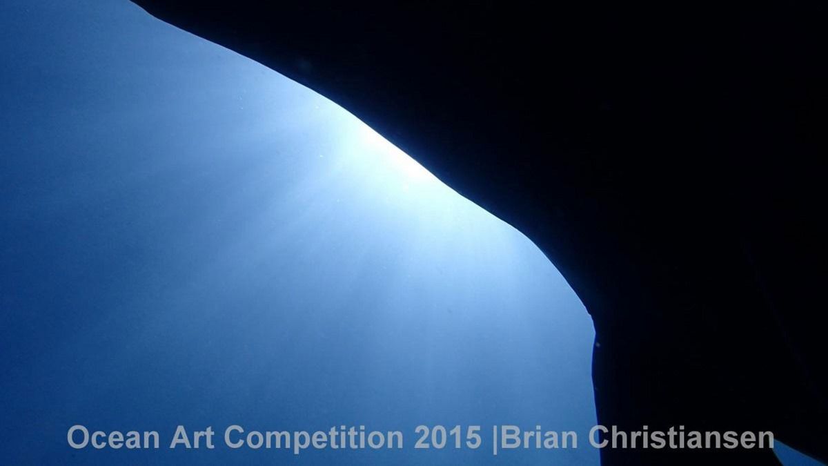 Лучшие подводные фотографии Ocean Art Underwater Photo Competition 2015