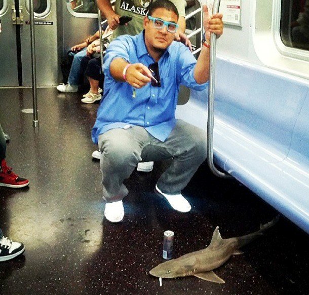 Приколы из нью-йоркского метро
