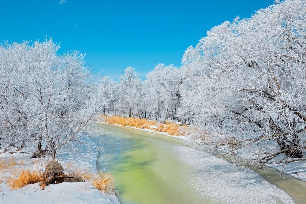 Сказочная красота зимы на прекрасных фотографиях