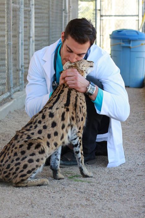Эван Антин - самый привлекательный ветеринар в мире