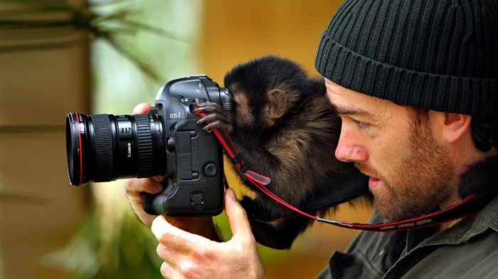 Фотографы среди животных