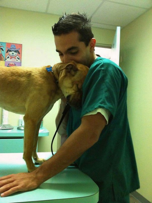 Почему ветеринар – лучшая профессия на свете