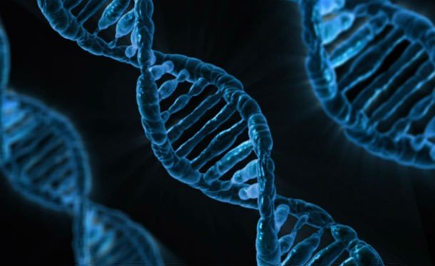25 интересных фактов о ДНК, которые вы могли не знать
