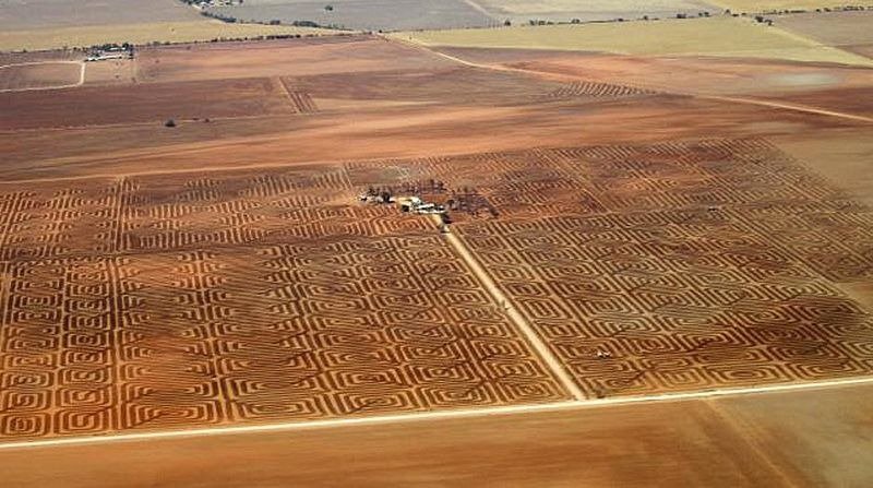 Австралийский фермер борется c эрозией почвы с помощью лэнд-арта