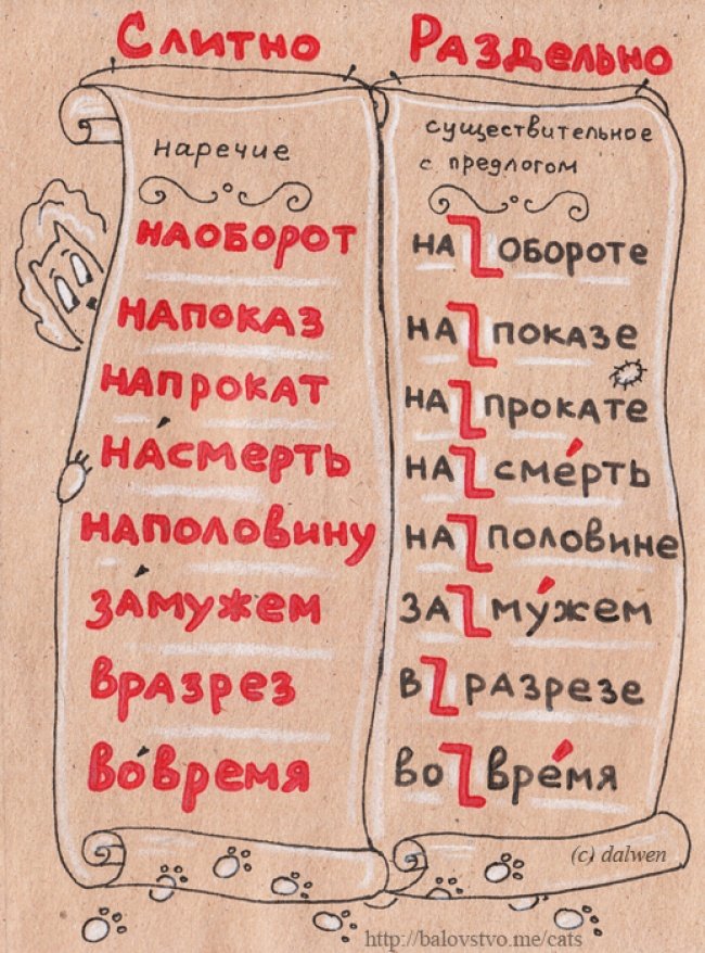 Грамотные котики в иллюстрациях Анны Беловицкой