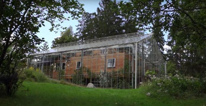 Шведская пара построила теплицу поверх дома