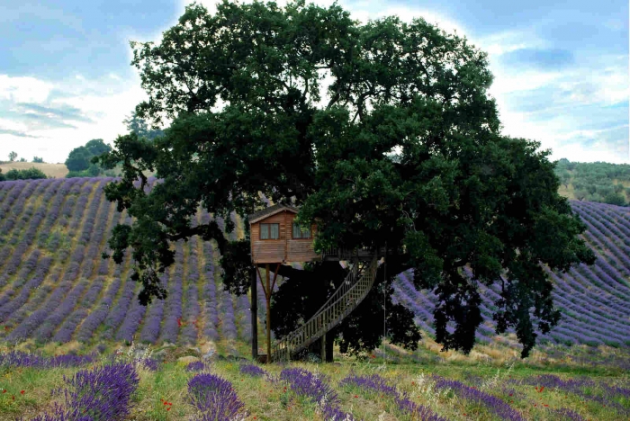 Уютный домик на дереве в Италии