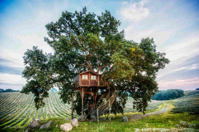 Уютный домик на дереве в Италии