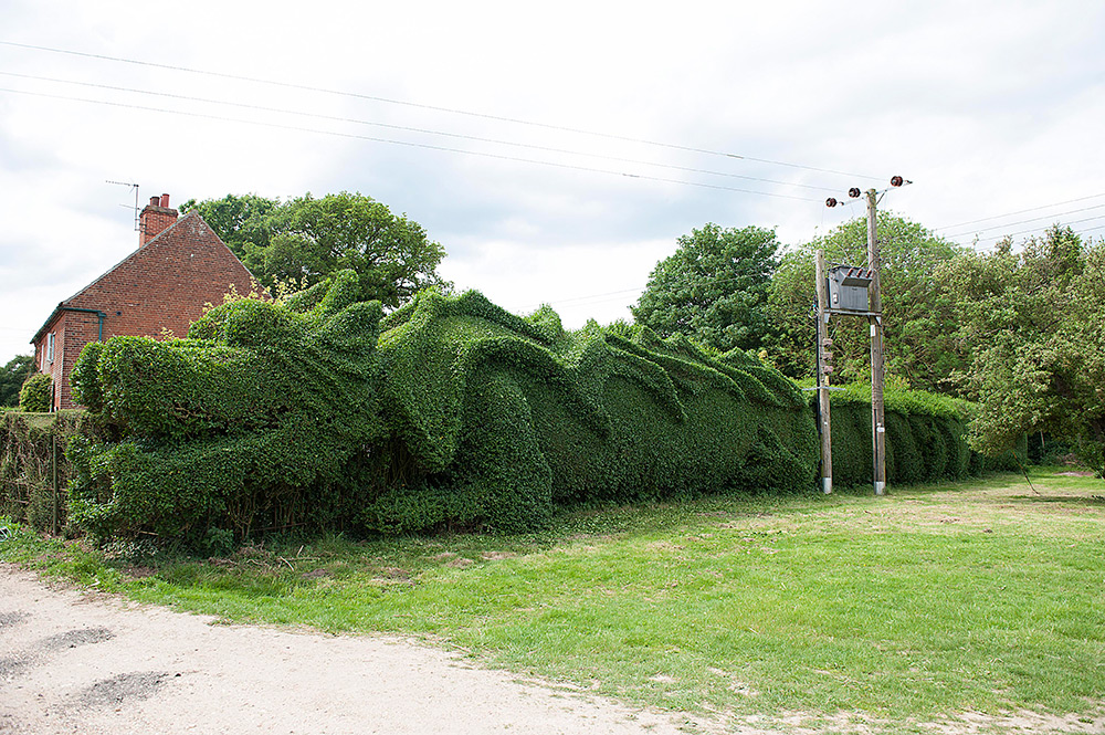 40-метровый дракон на своей лужайке