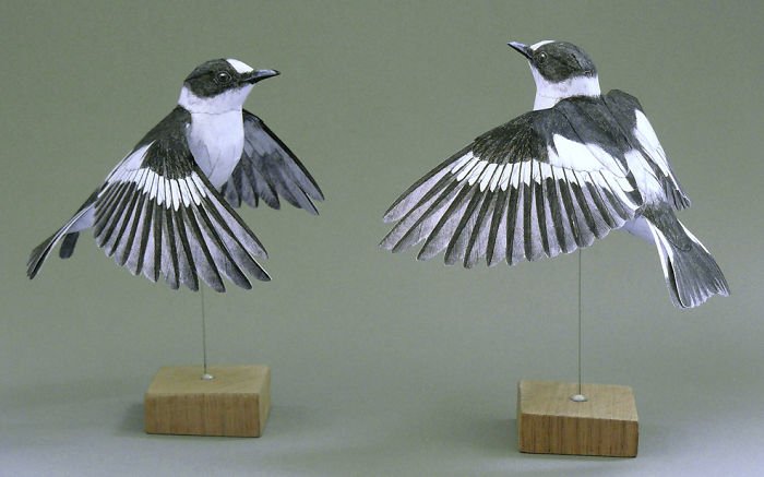 Реалистичные птицы из бумаги от Йохана Шерфта