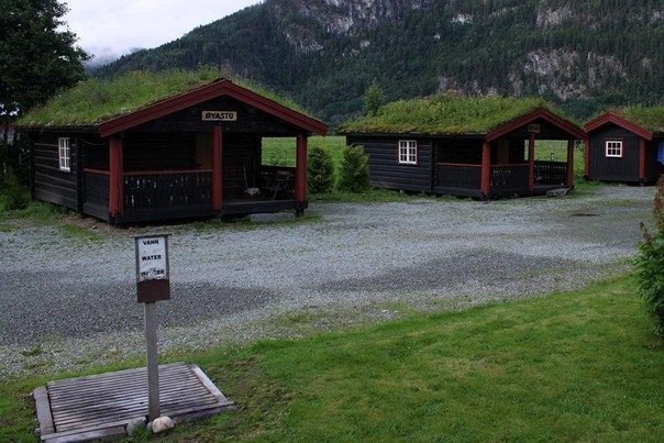 Живые крыши домов в Норвегии