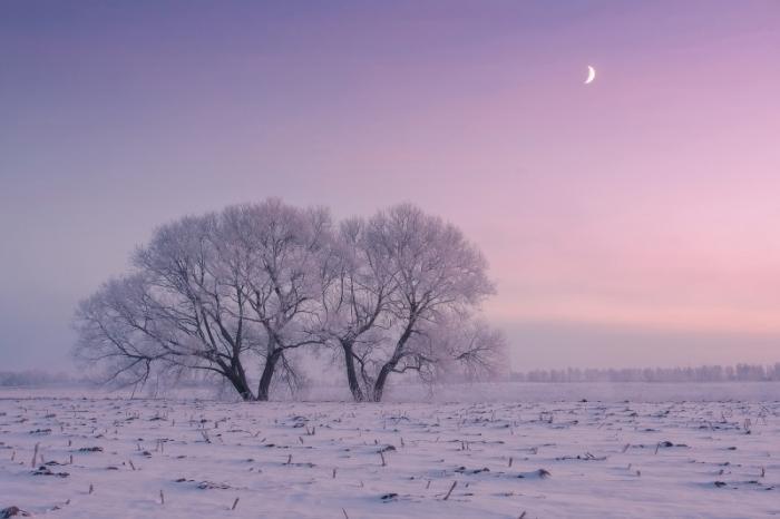 Зимняя красота природы от Алексея Угальникова