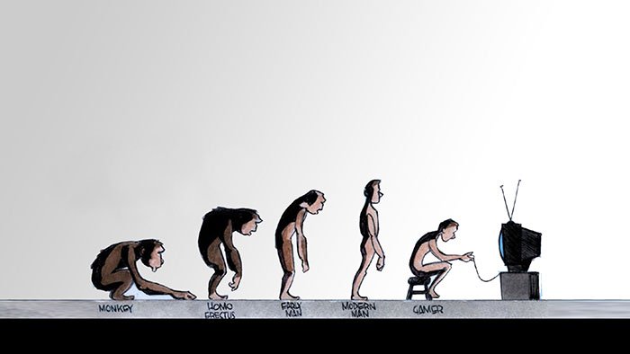Различные формы эволюции в картинках