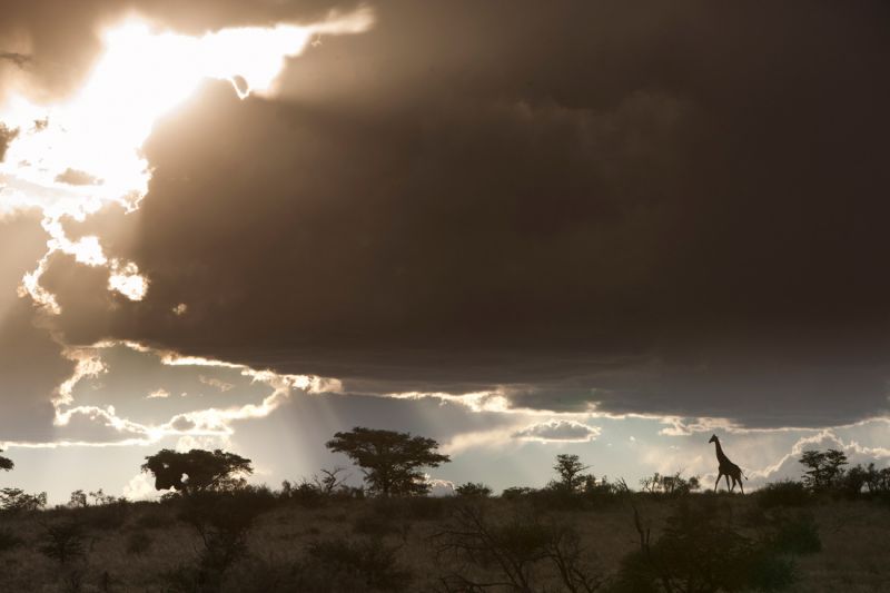 Восхитительные фотографии Африки от Майкла Полицы